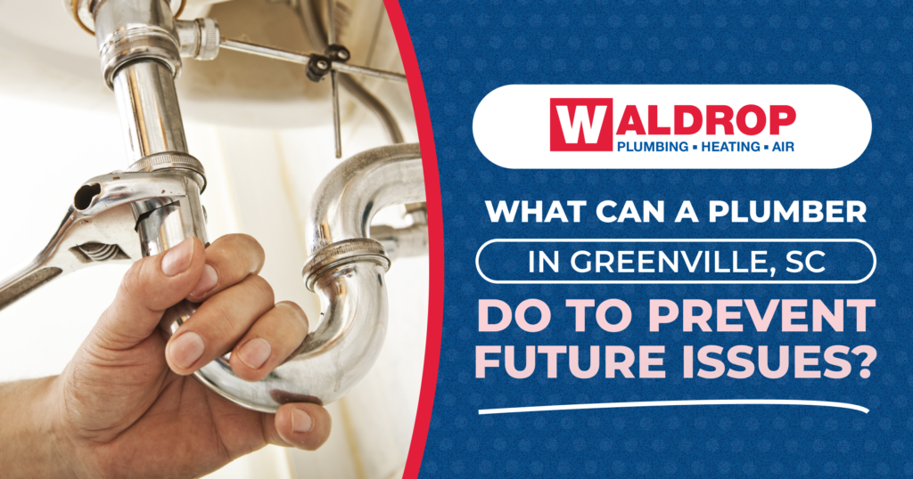 What Can a Plumber in Greenville, SC Do to Prevent Future Issues