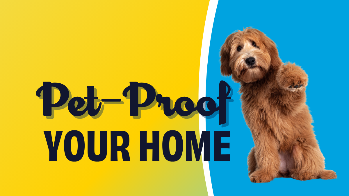 Pet-proof your home with a dog sitting and one paw up