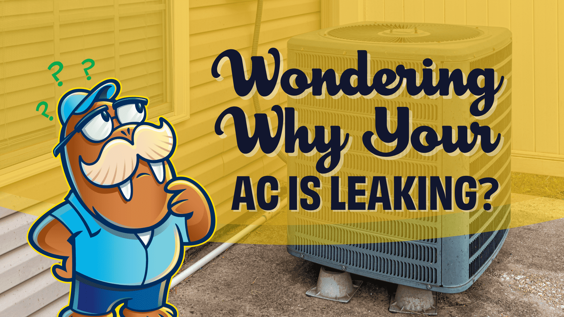 Wally the walrus, the Waldrop Plumbing Heating Air mascot, is wondering why the ac is leaking as he is looking at the outdoor ac unit.