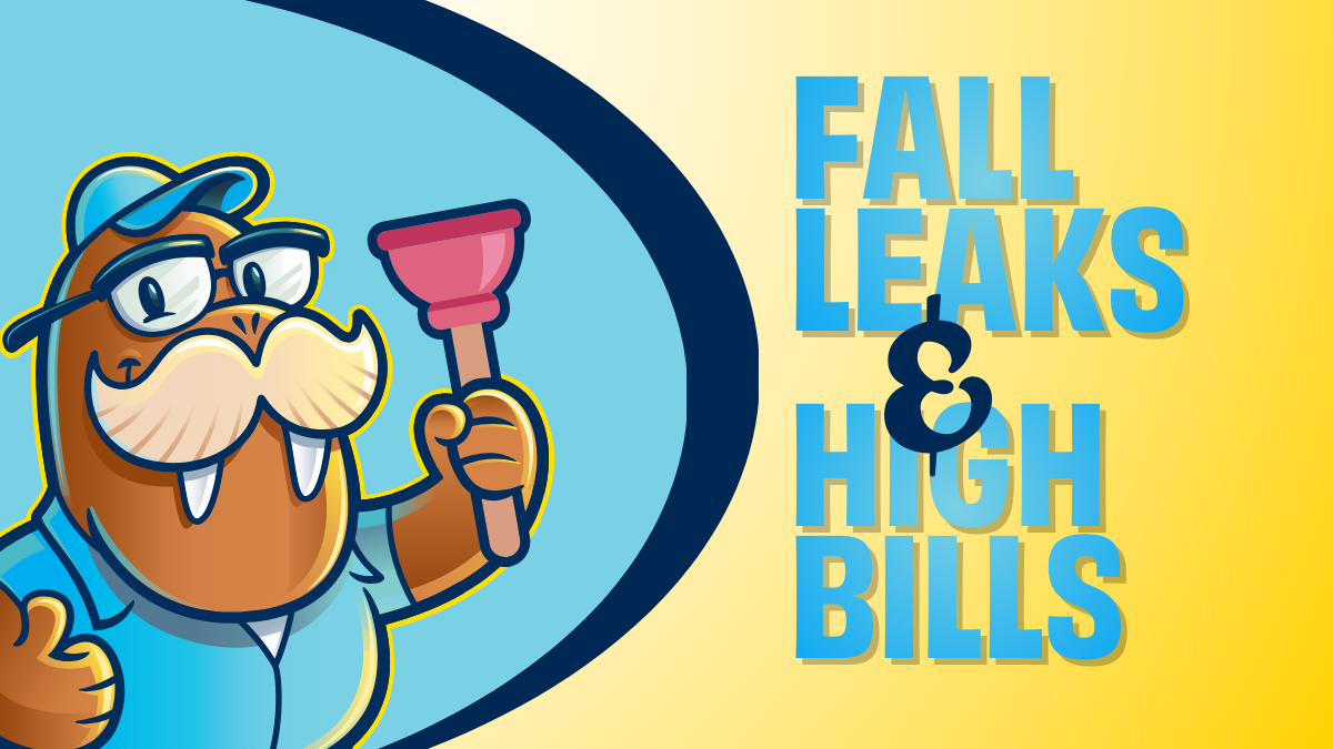 fall leak and high bills