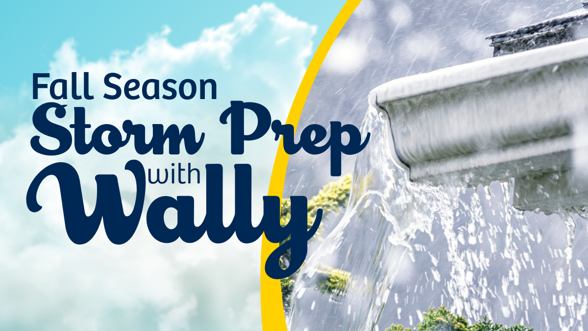 fall season storm prep with wally
