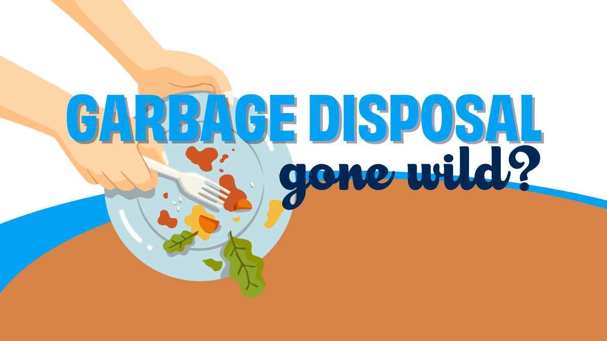 garbage disposal gone wild