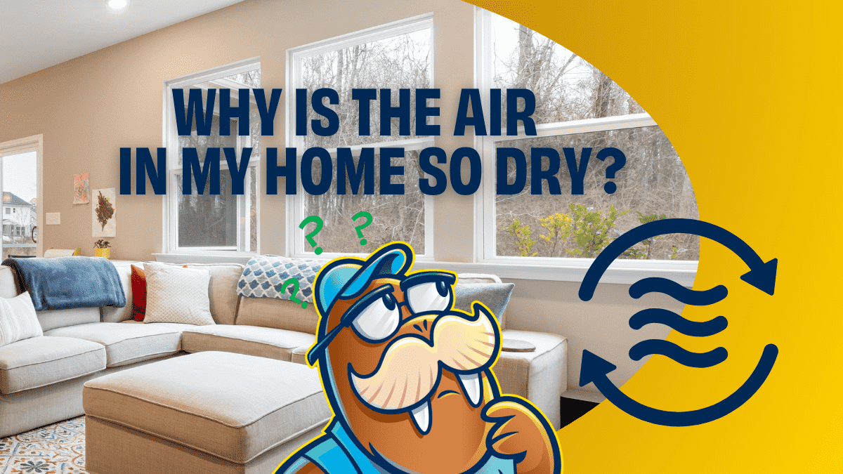 Why is the Air in My Home So Dry? | Waldrop Plumbing-Heating-Air