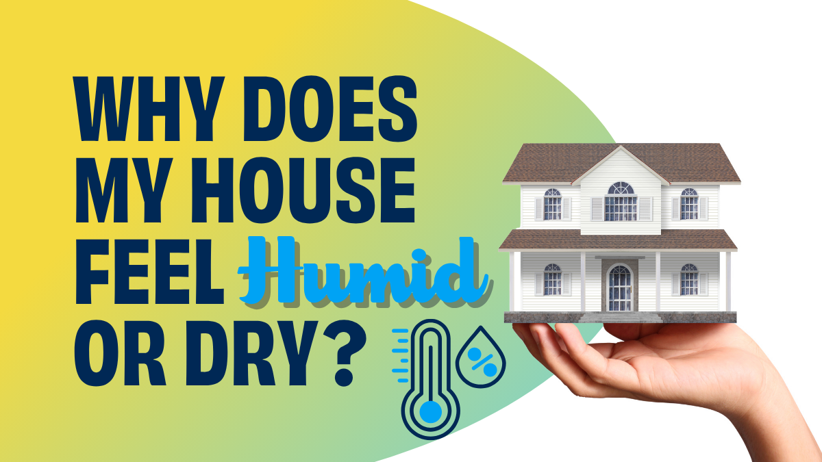 why does my house feel humid or dry?