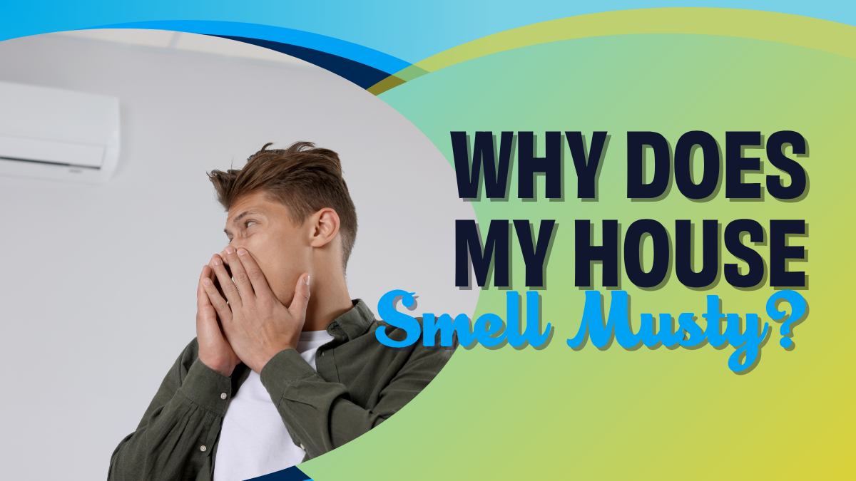 why does my home's air smell musty