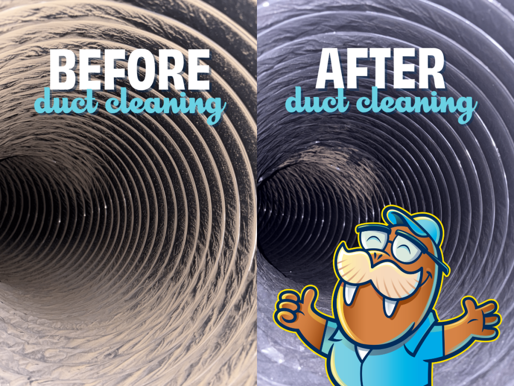 before and after picture of duct cleaning services