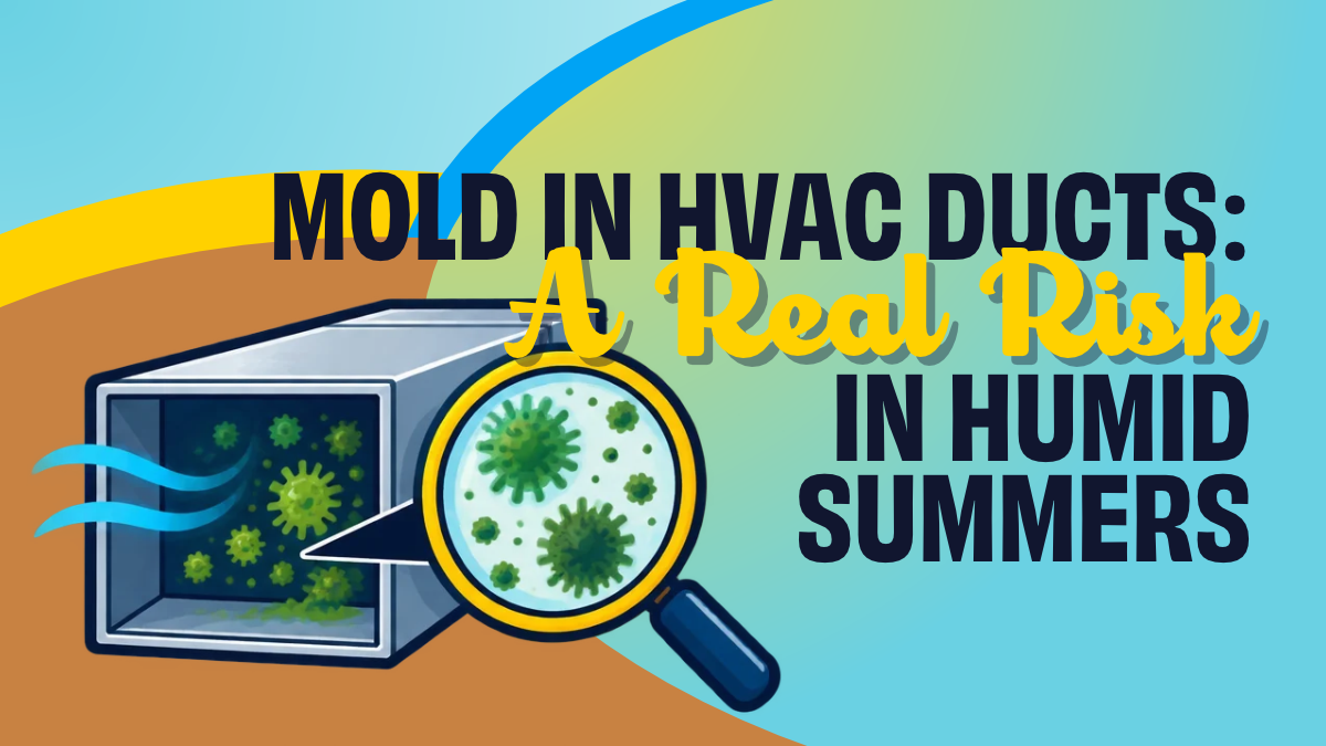 Mold In HVAC Ducts: A real risk in humid summers